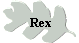 Rex