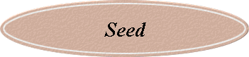 Seed