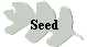 Seed